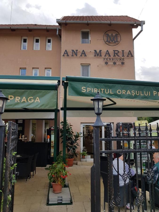 Pensiunea Ana Maria ไบเลเฟลิกซ์ ภายนอก รูปภาพ